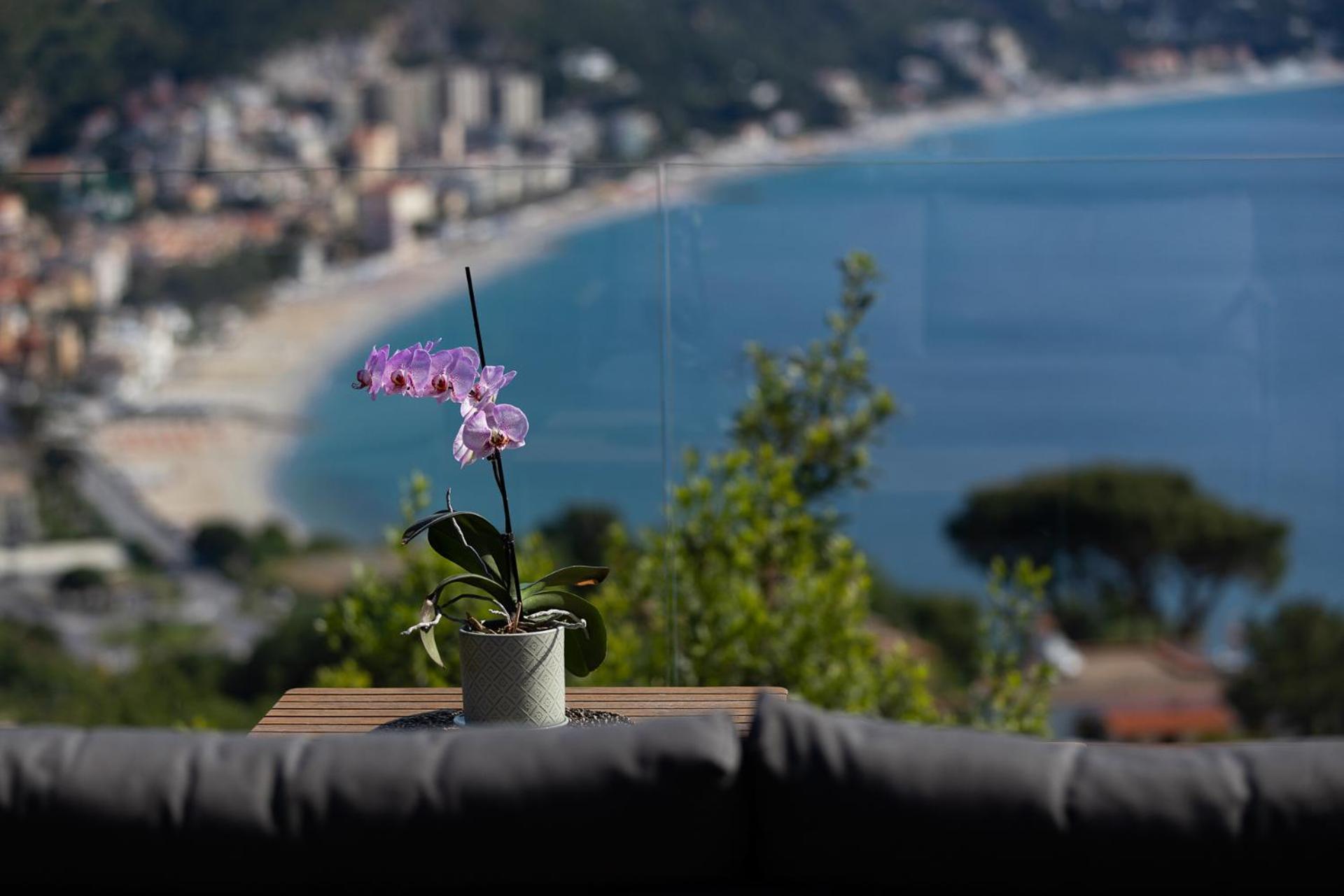 Spettacolare Vista Isola Terrazza E Idromassaggio Villa Noli Eksteriør bilde